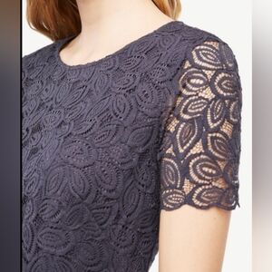 EUC•Ann Taylor Elegant Lace Dress w/See-Through Lace Sleeves•Navy Blue•Petite 4